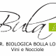 LOGO-BULA_con-dicitura-1030x627