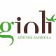 giolì-1030x685